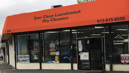 Ever Clean Laundromat and Drycleaner