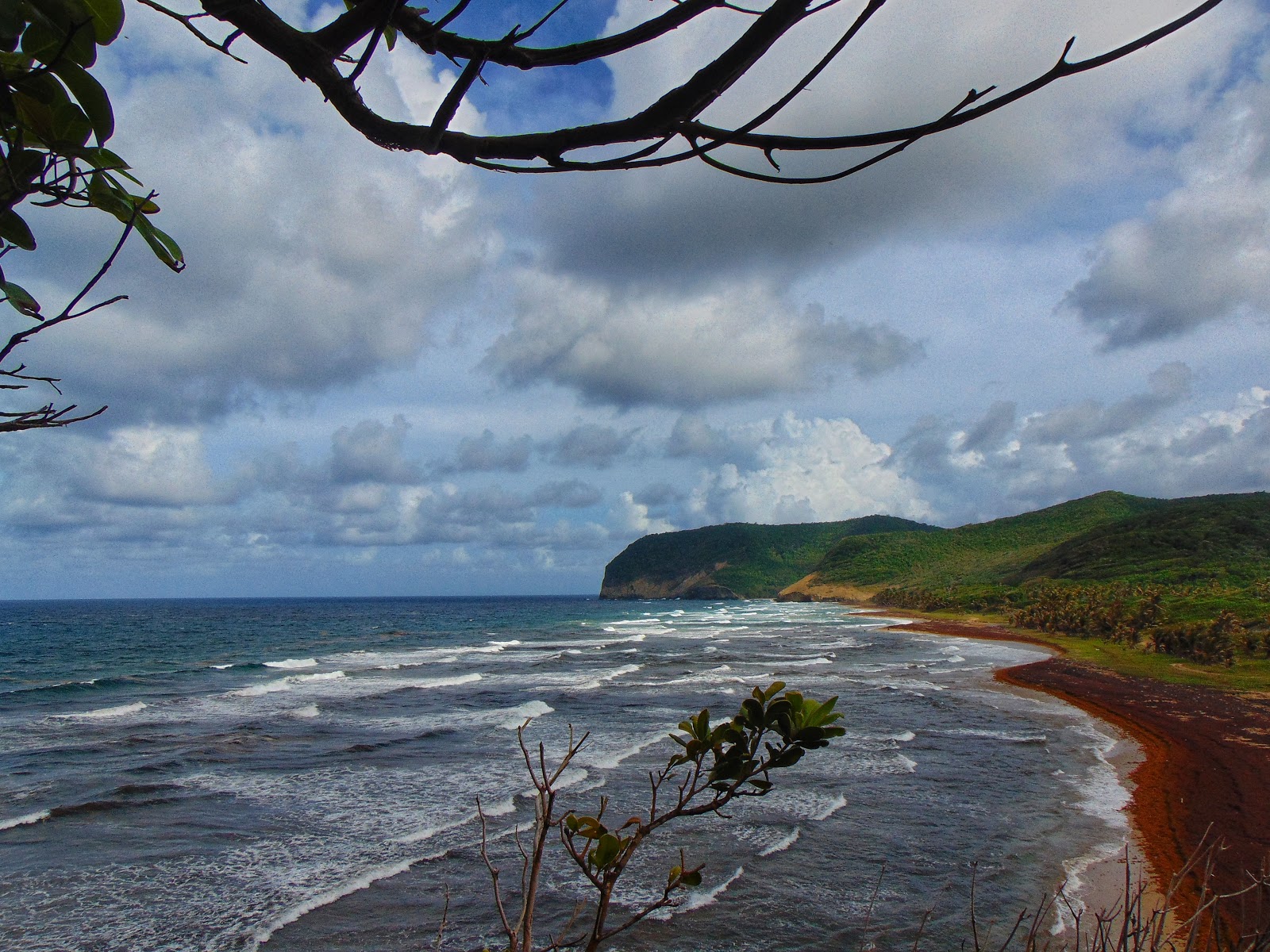 Foto de Grand Anse beach con recta y larga