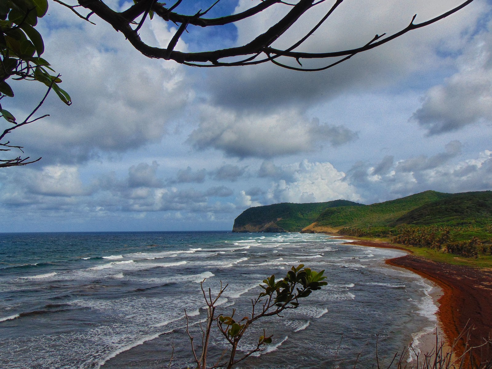 Foto de Grand Anse beach com reto e longo