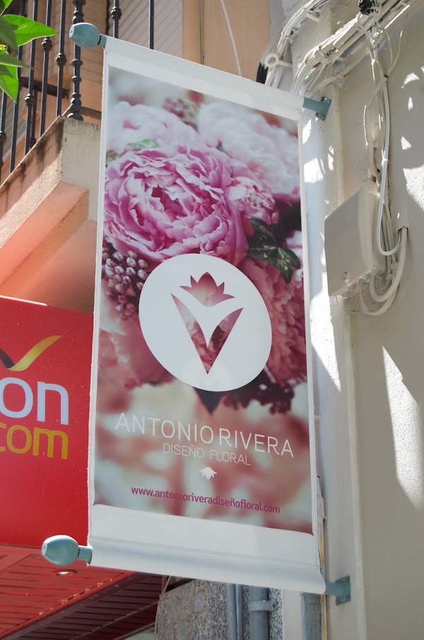 Imagen de Floristería Antonio Rivera Diseño Floral (8 de 9)