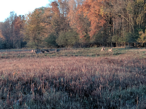 Historical Place «Saratoga National Historical Park», reviews and photos, 648 NY-32, Stillwater, NY 12170, USA