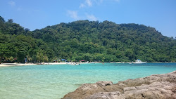 Pulau Tenggol'in fotoğrafı imkanlar alanı