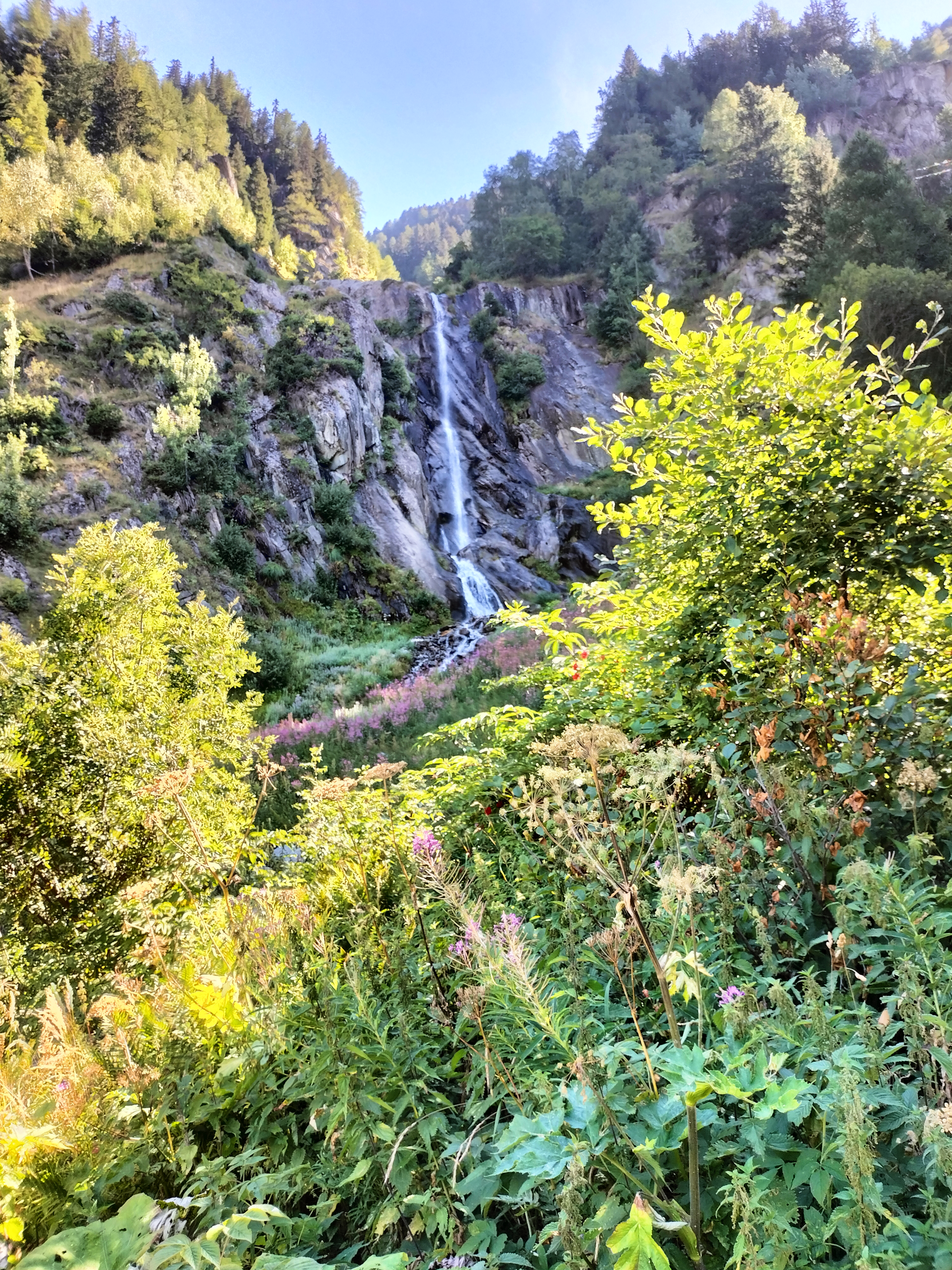 Photo n° 1 de l'avis de Mathis.� fait le 05/09/2023 à 19:12