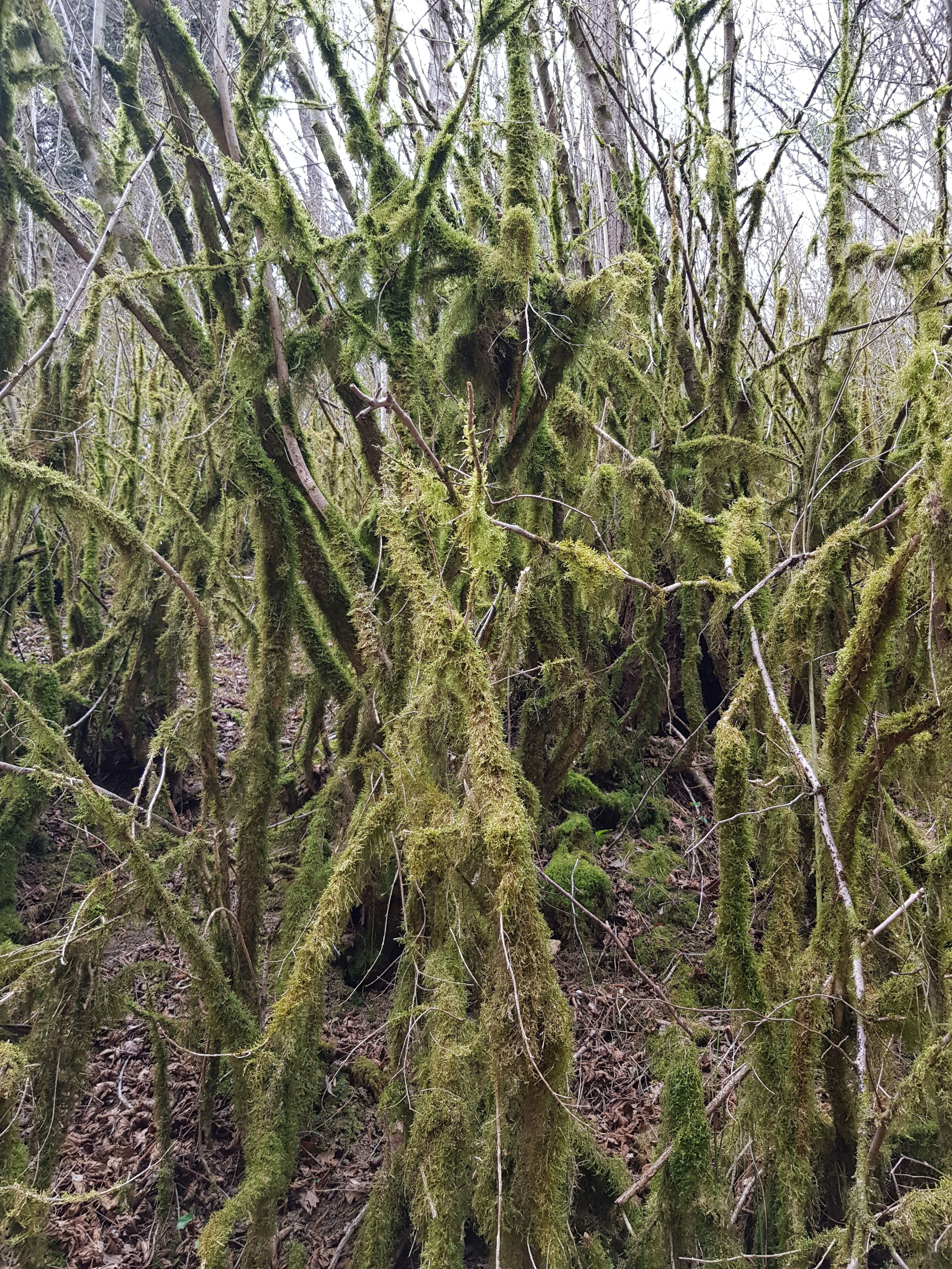 Photo n° 8 de l'avis de Jørn.. fait le 19/03/2019 à 07:57