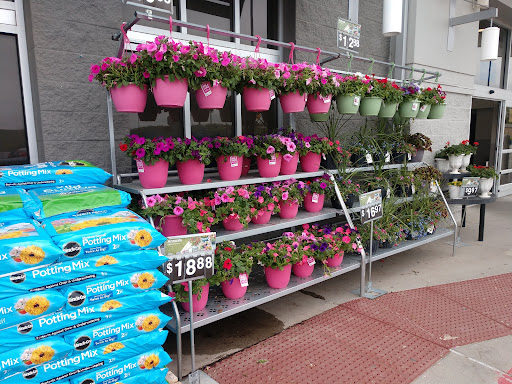 Department Store «Walmart Supercenter», reviews and photos, 1882 Holly St, Blair, NE 68008, USA