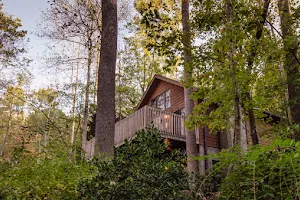 Asheville Cabins of Willow Winds image