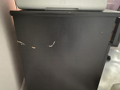 Moving and Storage Service «All My Sons Moving & Storage», reviews and photos, 7155 16th St E #114, Sarasota, FL 34243, USA