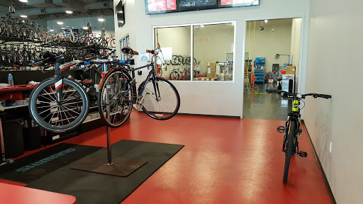 Bicycle Store «Bicycle World of Katy», reviews and photos, 24555 Katy Fwy, Katy, TX 77494, USA