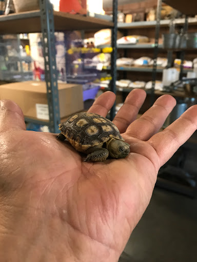 Animal Feed Store «Whittier Feed Store», reviews and photos, 12618 Penn St, Whittier, CA 90602, USA