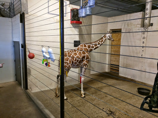 Amusement Park «Como Town», reviews and photos, 1301 Midway Pkwy, St Paul, MN 55103, USA