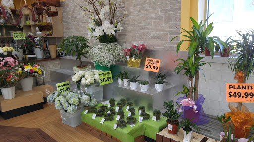 Supermarket «Superfresh», reviews and photos, 1185 Amboy Ave, Edison, NJ 08837, USA