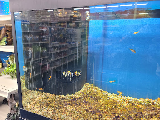 Pet Supply Store «Pet Supermarket, Inc.», reviews and photos, 598 N McCarran Blvd, Sparks, NV 89431, USA