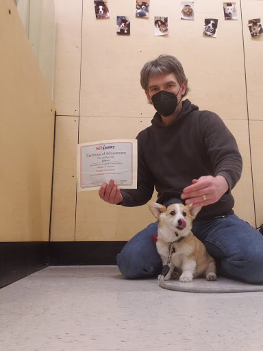 Pet Supply Store «PetSmart», reviews and photos, 742 S Meadow St, Ithaca, NY 14850, USA