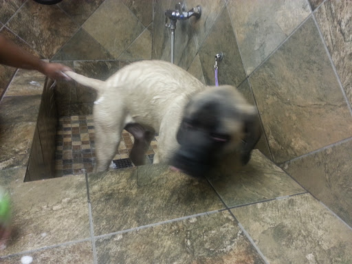 Pet Supply Store «Pet Valu», reviews and photos, 1308 Main Chapel Way, Gambrills, MD 21054, USA