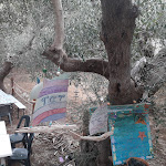 Photo n°1 de l'avis de Laura.i fait le 15/09/2022 à 20:22 sur le  Talamone Camping Village à Talamone