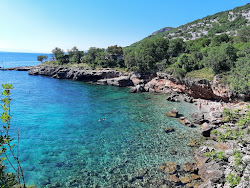 Kozica Camp Beach'in fotoğrafı ve yerleşim