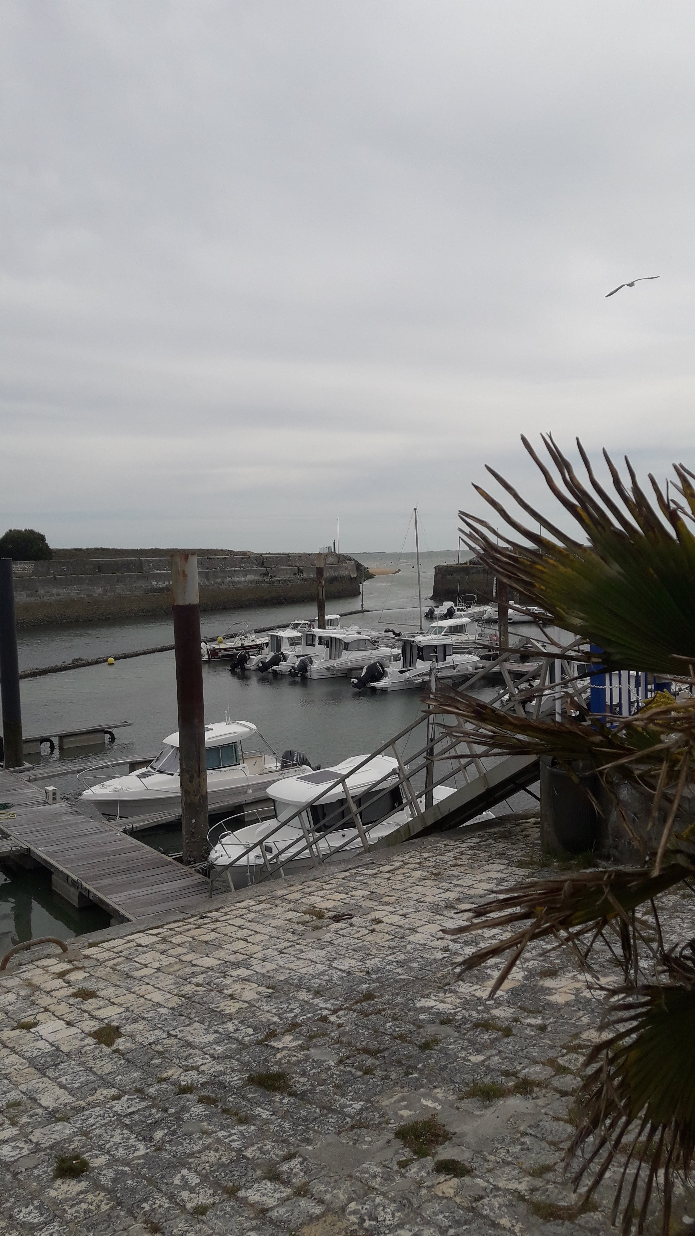 Photo n° 1 de l'avis de MARYLINE.e fait le 16/05/2019 à 12:29