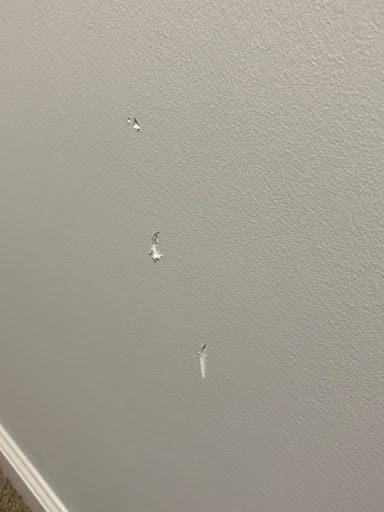 Moving and Storage Service «All My Sons Moving & Storage», reviews and photos, 8035 Dixie Hwy, Louisville, KY 40258, USA