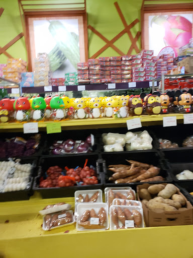 Grocery Store «MD Oriental Market BRANDON», reviews and photos, 10127 E Adamo Dr, Tampa, FL 33619, USA