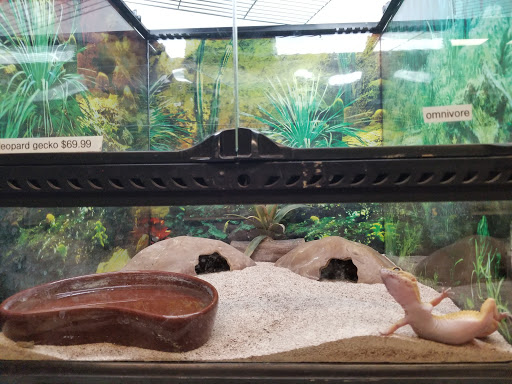 Pet Store «Fosters Exotic Pet Center», reviews and photos, 40116 US Hwy 19 N, Tarpon Springs, FL 34689, USA
