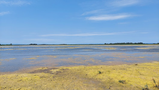 St.Andrä am Zicksee QWQ5+RR St.Andrä am Zicksee, 7161 St. Andrä am Zicksee, Österreich