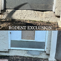 Calpest - Photo 5 - Car repair in , Escondido