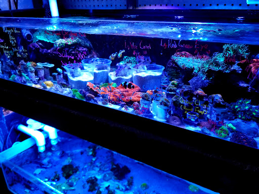 Pet Store «Pet Connection», reviews and photos, 29551 Five Mile Road, Livonia, MI 48154, USA