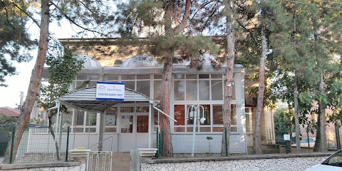 İstasyon Cami