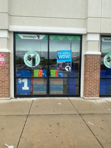 Dollar Store «Dollar Tree», reviews and photos, 1090 State St, Lemont, IL 60439, USA