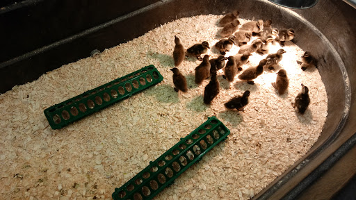 Sporting Goods Store «Big R Store of Warsaw», reviews and photos, 3660 Commerce Dr, Warsaw, IN 46580, USA