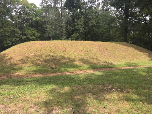 National Park «Shiloh National Military Park», reviews and photos, 1055 Pittsburg Landing Rd, Shiloh, TN 38376, USA