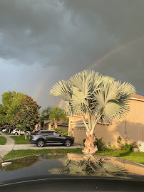 F.B.T.L BASKETBALL - Photo 1 - Car repair in Spring Hill, FL, Spring Hill