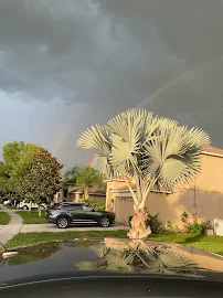 F.B.T.L BASKETBALL - Car repair in Spring Hill, FL, Spring Hill - Rated 5.0/5