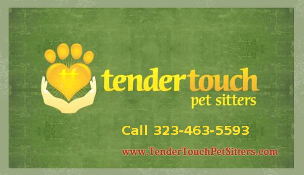 Tender Touch Pet Sitters