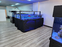 The Coral Enclave - Photo 6 - Car repair in Santa Clarita, CA, Santa Clarita