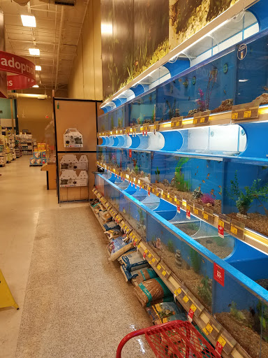 Pet Supply Store «PetSmart», reviews and photos, 11331 Causeway Blvd, Brandon, FL 33511, USA