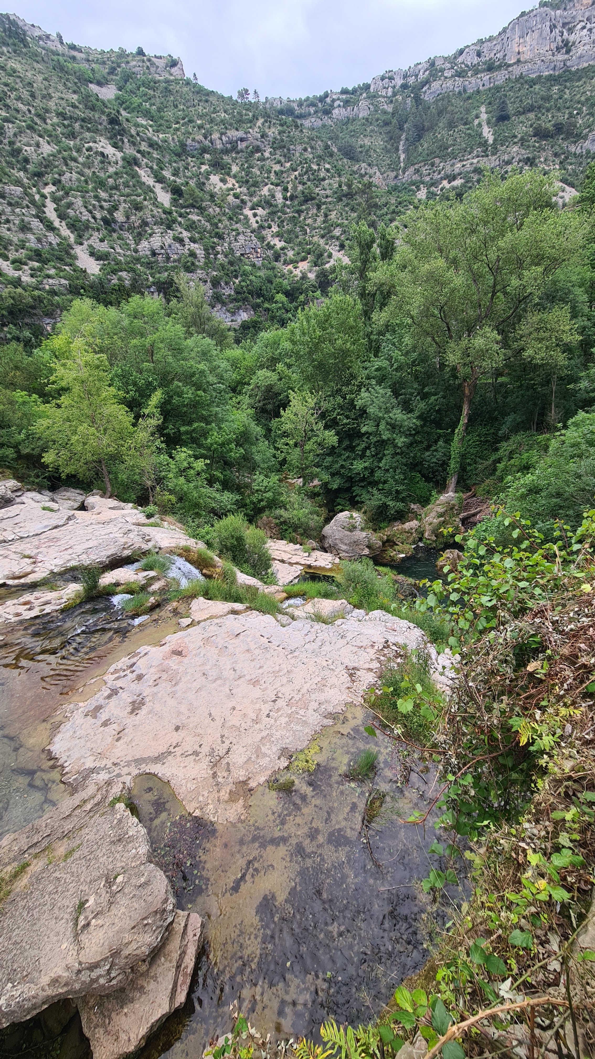 Photo n° 1 de l'avis de Mathis.o fait le 20/06/2023 à 15:28