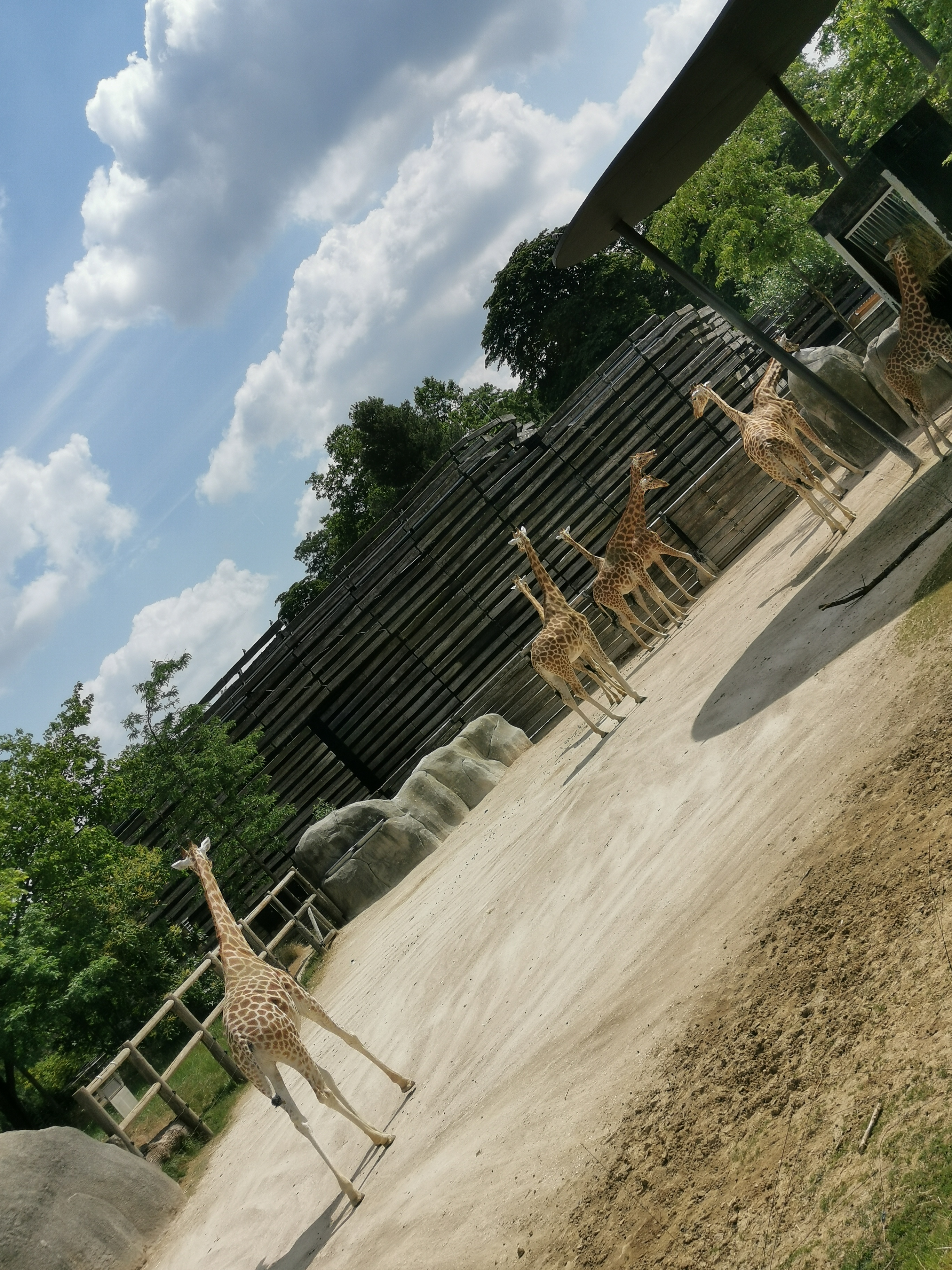 Photo n° 5 de l'avis de N1n1ce. fait le 27/04/2018 à 22:54