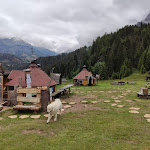 Photo n°4 de l'avis de Andrea.o fait le 17/06/2020 à 15:57 sur le  Malga Civertaghe dal 1905 à Primiero San Martino