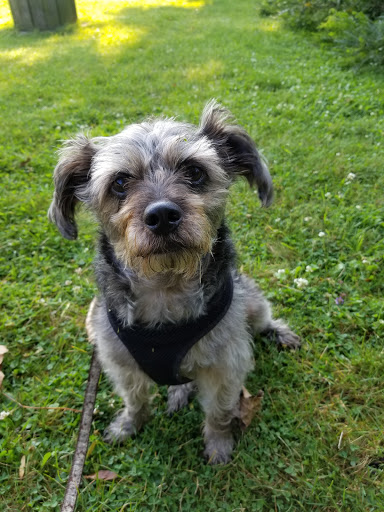 Pet Supply Store «Petco Animal Supplies», reviews and photos, 7721 Mentor Ave, Mentor, OH 44060, USA