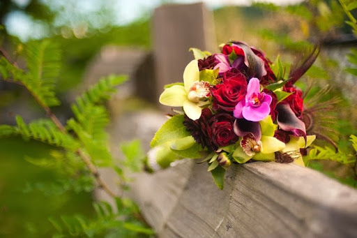 Florist «Flowering Around», reviews and photos, 200 Winslow Way W, Bainbridge Island, WA 98110, USA