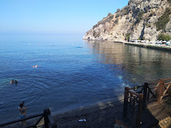 Ladonia beach'in fotoğrafı ve güzel manzarası