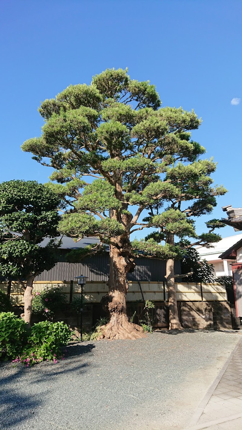 呑海寺