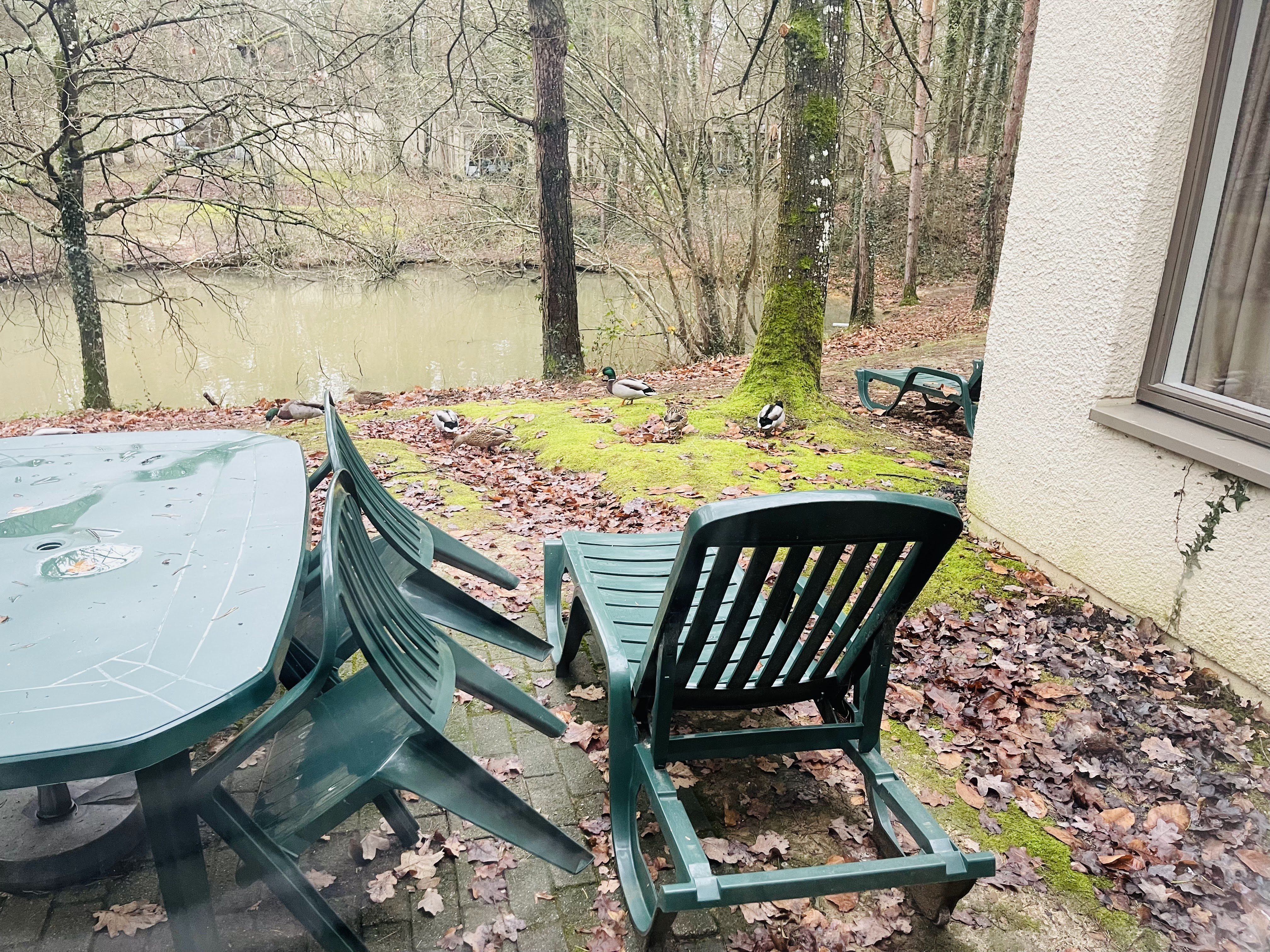 Photo n° 13 de l'avis de Céline. fait le 06/01/2024 à 14:16