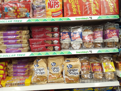 Dollar Store «Dollar Tree», reviews and photos, 3420 150th St W, Rosemount, MN 55068, USA