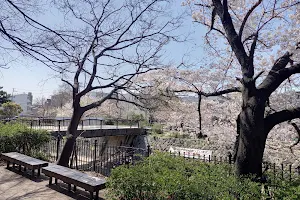 Togakawa Park image