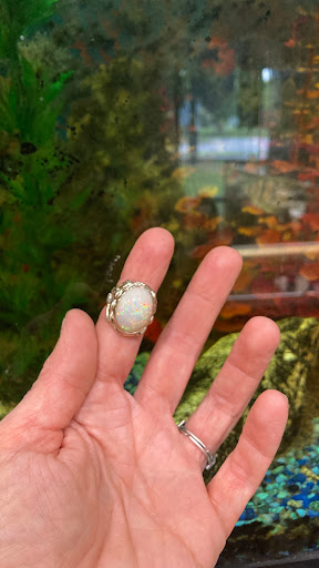 Jeweler «J B Fine Jewelry», reviews and photos, 7605 Gunn Hwy # A, Tampa, FL 33625, USA