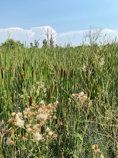 Park «Red-tailed Hawk Park», reviews and photos, 23701 E Hinsdale Way, Aurora, CO 80016, USA