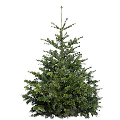 Juletræet.dk