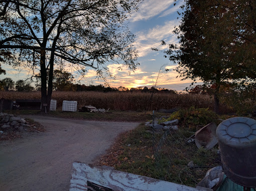 Farm «Wright Family Farm», reviews and photos, 329 Kings Hwy, Warwick, NY 10990, USA